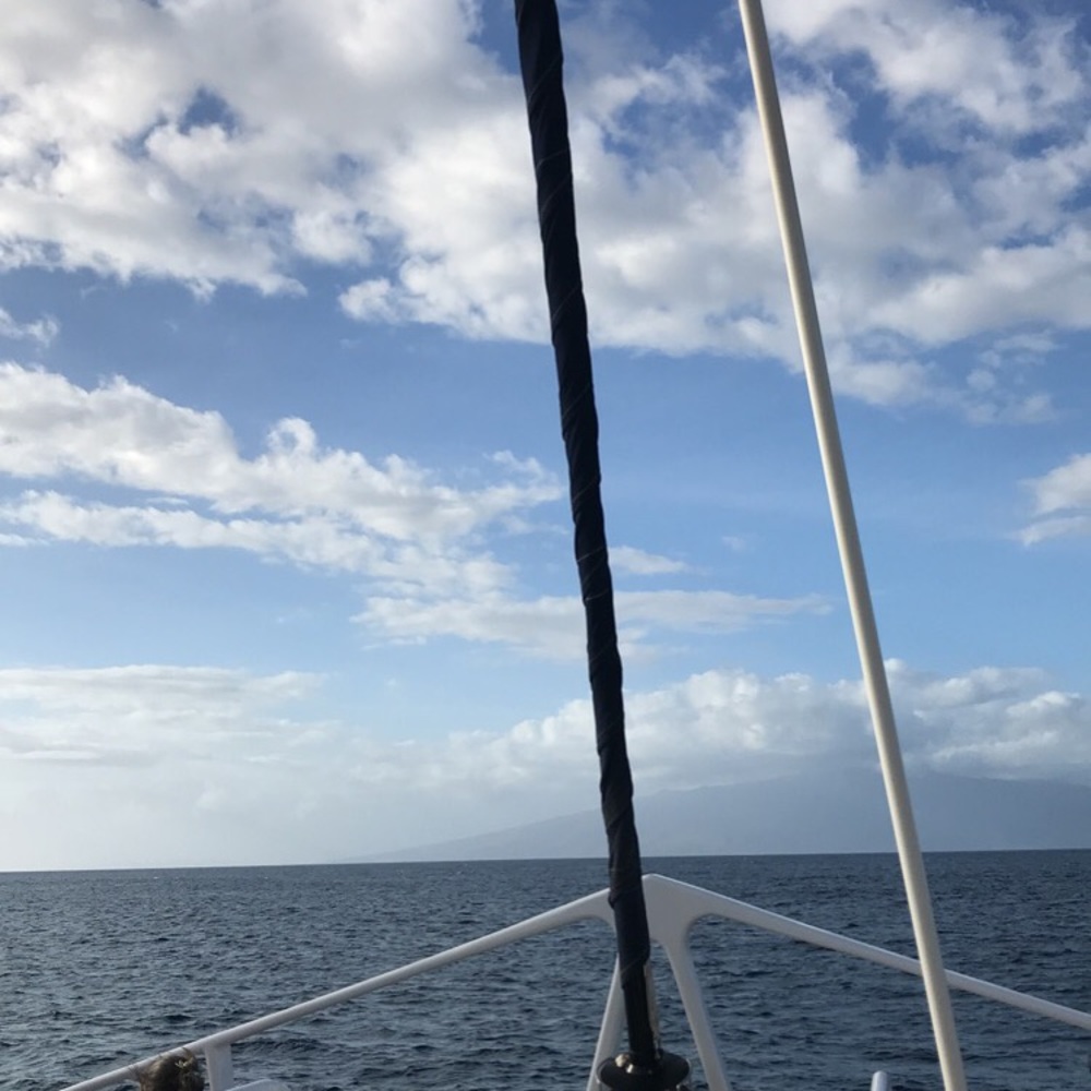 Meet your Posher, Memo